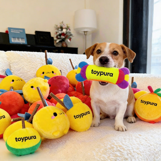 toypura® Dog Tug Toy - Durable and Engaging Pet Play for Strength, Stamina & Energy Release | Perfect for Active Dogs, Interactive Pull Toy